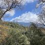 20 acres of Alpine mountainside with forests, granite and beautiful views