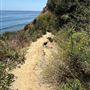 Staircase Beach @ Leo Carrillo State Park (SP) - CFC