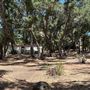 Tapia Park @ Malibu Creek State Park (SP)