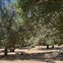 Tapia Park @ Malibu Creek State Park (SP)