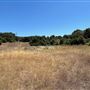 Tapia Park @ Malibu Creek State Park (SP)