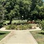 Lacy Park