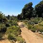 Huntington Library, Art Museum, and Botanical Gardens