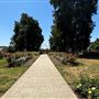 Huntington Library, Art Museum, and Botanical Gardens