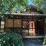 Huntington Library, Art Museum, and Botanical Gardens