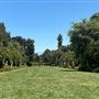 Huntington Library, Art Museum, and Botanical Gardens