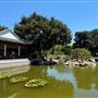 Huntington Library, Art Museum, and Botanical Gardens