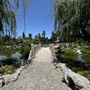 Huntington Library, Art Museum, and Botanical Gardens