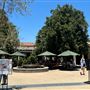 Huntington Library, Art Museum, and Botanical Gardens