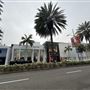 Rodeo Drive - Beverly Hills