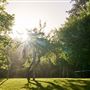 Dawn Ranch - Fern Grove Cottage