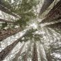University of California, Santa Cruz - UCSC