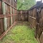 Shasta State Historic Park (SHP)