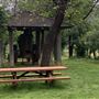 Shasta State Historic Park (SHP)