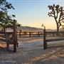 Desert Willow Ranch