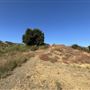 Malibu Creek State Park (SP)