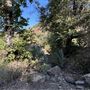Malibu Creek State Park (SP)