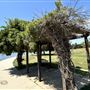 Lake Balboa/Anthony C. Beilenson Park