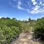 Sepulveda Basin Wildlife Preserve / Woodley Park