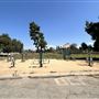 Woodley Park