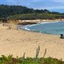 Bean Hollow State Beach (SB)