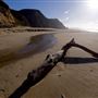 Gray Whale Cove State Beach (SB) @ Devils Slide