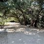 Orcutt Ranch Horticultural Center & Community Garden