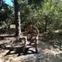 Orcutt Ranch Horticultural Center & Community Garden
