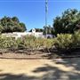 Orcutt Ranch Horticultural Center & Community Garden