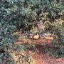 Driftwood Ranch