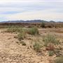 Superior Dry Lake and Salt Flats - Private Ownership