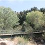 Ed Davis Park in Towsley Canyon - Santa Monica Mountains Conservancy - SMMC