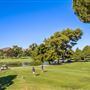 City of Westlake Village
