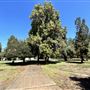 Shadow Ranch Park