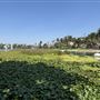 Echo Park Lake Recreation Center
