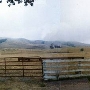 J G Angus Ranch