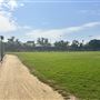 Syd Kronenthal Park