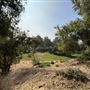 Elysian Park - Angels Point