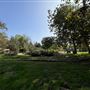 Elysian Park - Angels Point
