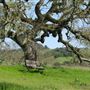 Crane Creek Regional Park