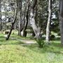 Stillwater Cove Regional Park