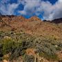 Providence Mountains State Recreation Area (SRA) / Mitchell Caverns