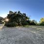 Serrania Park