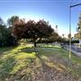 Serrania Park