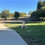 Serrania Park
