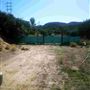 Andrade Grove Family Farm