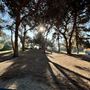 Cheviot Hills Park
