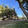 Cheviot Hills Park