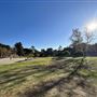 Cheviot Hills Park