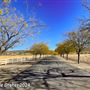 Tejon Ranch